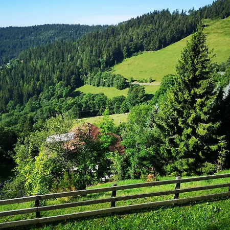 Lejlighed Simonhoehe With Swimmingpool Zirkitz